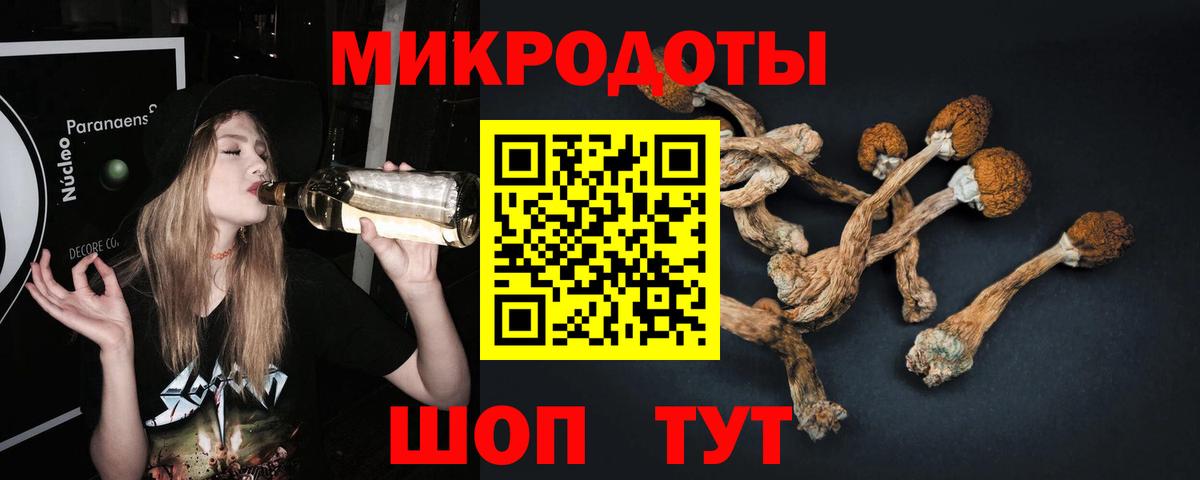 Галлюциногенные грибы GOLDEN TEACHER  Вход с VPN  Курганинск  Псилоцибиновые грибы GOLDEN TEACHER 
