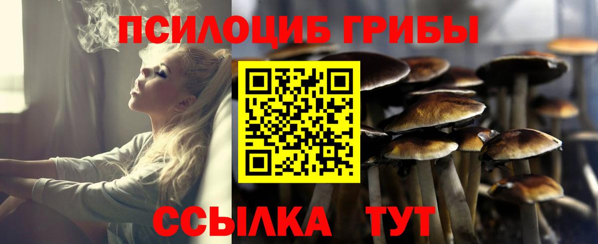 Галлюциногенные грибы мухоморы Курганинск